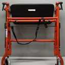 Drive Medical 1239RD Foldable Rollator Walker with Seat, Red, 1 Count (Pack of 1)
