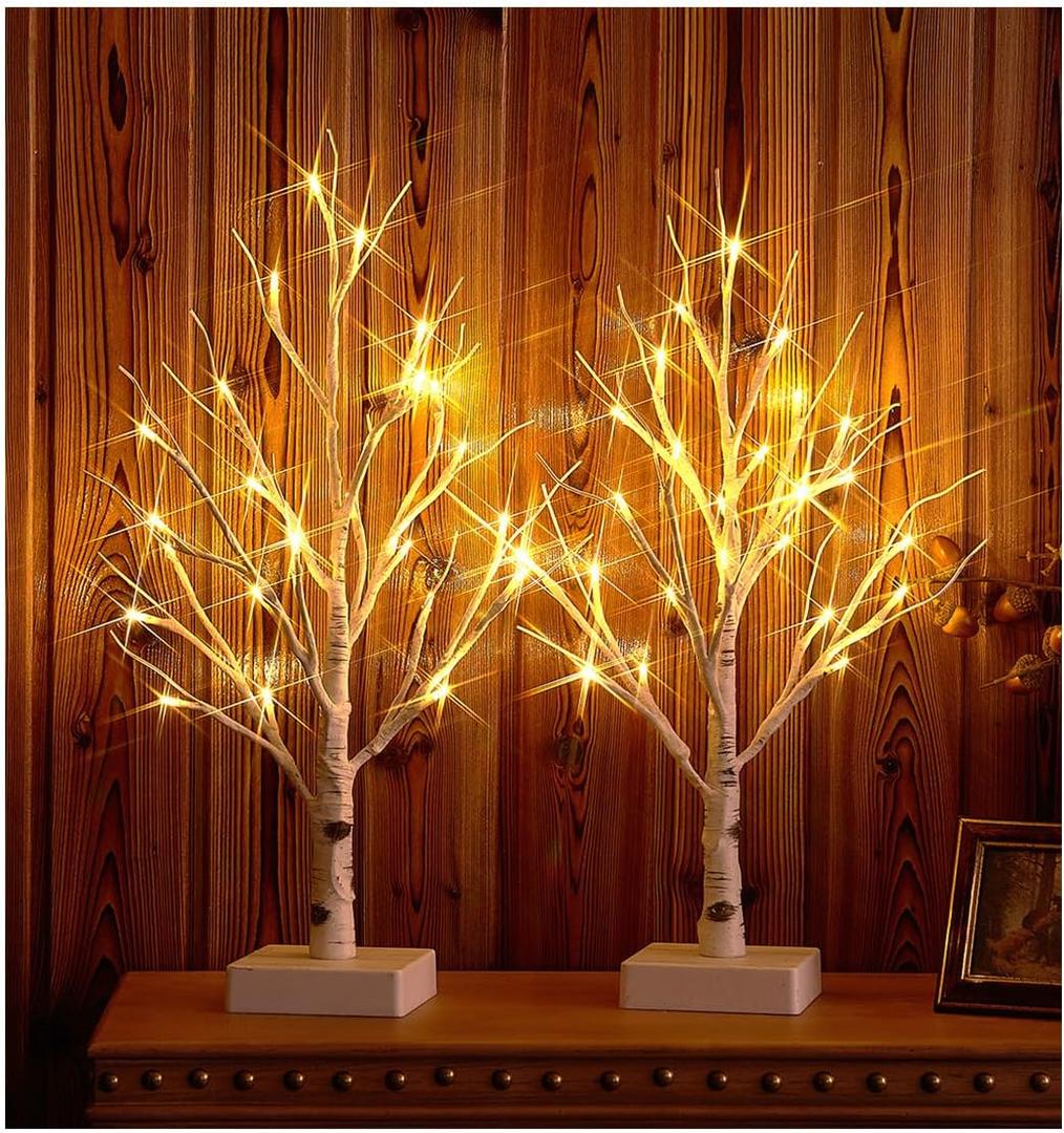 Hairui Pre-lit Tabletop Birch Tree with Timer 24LED 18IN Battery Operated for Christmas Father's Day Party Decoration, 2 Sets