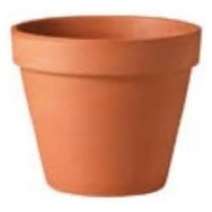 Terra Cotta Clay Flower Pot, Standard, 6-In.