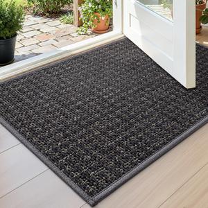 DEXI Thin Indoor Door Mat 24x36, Doormats Entrance, Dark Grey
