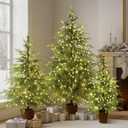 Set of 3 2ft 3ft 4ft Pre-lit Twinkle Christmas Norfolk Pine Tree with 175 LED Light Realistic Artificial Trees with Woven Basket Base Xmas Holiday Decor for Indoor Living Room Home (Norfolk Pine Tree)