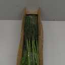 20 Pcs Christmas Norfolk Pine Branches -18" Real Touch Artificial Norfolk Pine Branch Faux Plants Stem Fake Greenery Pine Picks for Vase DIY Crafts Garland Wreath Home Indoor Outdoor Decoration