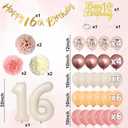 16th Birthday Decorations Retro Blush Pink Sweet 16 Girls Birthday Balloons Happy 16th Banner Cake Toppers Rose Gold Number 1 6 Balloon Pom Poms for 16 Year Old Bday Party Decoration Supplies