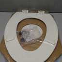 Bemis 1500EC Durable Wood Toilet Seat with Easy Clean Hinges, Made in USA, Elongated, Biscuit