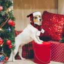 Coume Christmas Antler Check Dog Hat and Scarf Set Winter Red and Black Buffalo Plaid Pets Hats with Earmuffs Adjustable Xmas Festive Party Pet Dress up Costume Accessories(L)