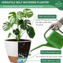 montresor 12/10/8 Inch Self Watering Pots for Indoor Plants Plastic Large Pot for Outdoor Plants, Water Level Window & Spacious Reservoir Flower Pots Decorative Planter with Drainage and Tray (White)