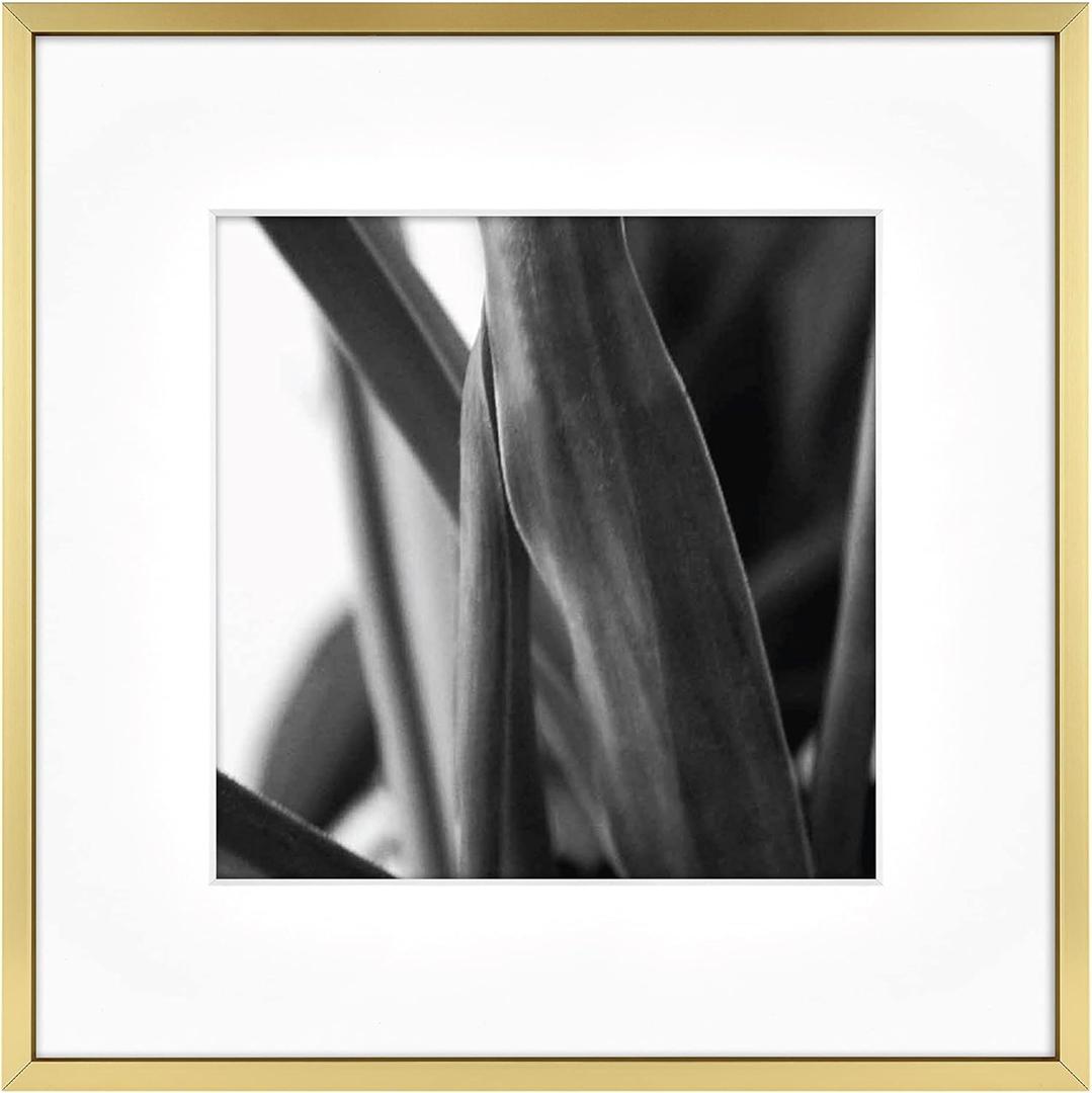 MCS Master & Co. Foundry Metal 12x12 Square Picture Frame, Display Pictures 8x8 With Mat or 12x12 Without Mat, Wall Hanging Frame for Photos & Artwork, Brass (1-Pack)