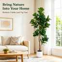 Artificial Fiddle Leaf Fig Tree 7ft - Lifelike Indoor Tall Faux Plant for Home & Office Dcor, Low Maintenance, Realistic Greenery for Living Room, Bedroom