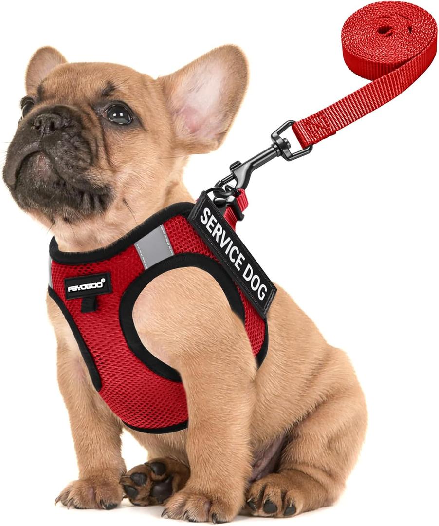 FAYOGOO Service Dog Vest for Small Breed - Lightweight Dog Harness with 6PCS Removable Patches - Puppy Harness and Leash Set for Walking,Training (Red)