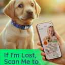 WhoseID Dog Collar for Small Medium Large Dogs