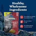 Blue Buffalo Wilderness Trail Treats Wild Bits Training Treats for Dogs, Grain-free Dog Treats, Salmon Recipe, 10-oz. Bag