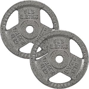 Fitvids Cast Iron 1-Inch Standard Weight Plate for Strength Training & Weightlifting, 5 LB Pair, Gray