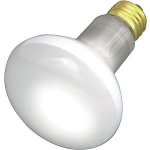 Satco S3210 120V Medium Base 30-Watt R20 Light Bulb, Frosted