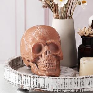 Halloween Terracotta Color Plastic Skull 5.9 Inch Life Size Human Skeleton Head Model for Halloween Indoor Outdoor Decor Party Centerpiece