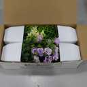 Der Rose 4 Pack Small Fake Plants Mini Artificial Faux Plants Indoor with Flowers Spring Decorations for Home Room Farmhouse Desk House Bathroom Decor