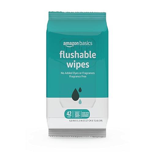 Amazon Basics Flushable Adult Toilet Wipes, Fragrance Free, 42 Count (Pack of 1)
