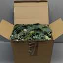 Thiccywoov 250 Pcs Artificial Eucalyptus Leaves Stem Bulk Fake Greenery Faux UV Resistant Sprays Silver Dollar Eucalyptus for DIY Wedding Bouquet Vase Floral Arrangement Decor (Green, 15 Kinds)