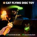 Cat Fetch Toy Launcher with 10 Soft & Flexible Discs, Cat Toys for Indoor Cats, LED Glowing Launcher, Electric Interactive Kitten Toy for Hunting & Exercise, USB Rechargeable