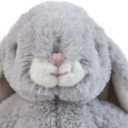 DILLY DUDU Gray Bunny Rabbit Stuffed Animal Plush Toy Best Gifts 10-Inch