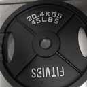 Fitvids Olympic Cast Iron 2-Inch Weight Plate for Strength Training & Weightlifting, Multiple Weights  45LB (Pair)