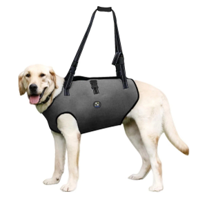 Coodeo Dog Lift Harness, Pet Support & Rehabilitation Sling Lift Adjustable Padded Breathable Straps for Old, Disabled, Joint Injuries, Arthritis, Loss of Stability Dogs Walk (Grey, L)