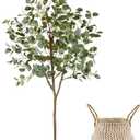 Artificial Eucalyptus Tree, 6ft Tall Fake Eucalyptus Plant with Basket, Green Silver Dollars Silk Leaves Faux Tree for Home Office Livingroom Floor Decor Indoor