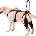 Dog Knee Brace with Lift Harness for Back Legs, Set of 2 Adjustable Non-Slip Support for Large & Senior Dogs, ACL/CCL Injury & Mobility Aid, Black, X-Large