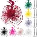 Yunsailing 8 Pcs Fascinators Hats for Women Tea Party Derby Hats Veil Feathers on a Headband and a Clip