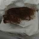 AmerCareRoyal Lightweight Hairnets - Comfortable, Breathable Hair Net for Food Service and Healthcare Facilities, Latex-Free, Disposable Hair Cap, 100% Latex Free, 24in, Light Brown, 144 Count