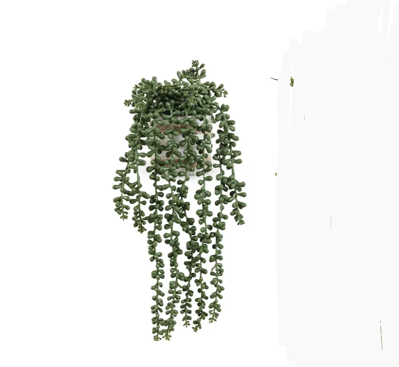 Fake Hanging Plants, 2pcs Artificial Potted Greenery Faux Eucalyptus Vine Fern and String of Pearls in Pot for Home Room Wall Shelf Patio Garden Indoor Outdoor Decor