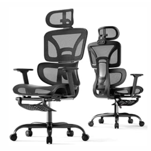 HLDIRECT Ergonomic Mesh Office Chair with Footrest, Lumbar Support(Black)
