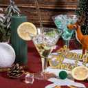 Liacere 24 Pack Silver Plastic Martini Glasses - 6.25oz Disposable Cocktail Glasses - Margarita Glasses - Plastic Cocktail Perfect for Wedding & Birthday & Summer Party