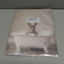 Kangaroo in Bathtub Wall Art Print Poster, Bathroom Decor Gallery Posters Prints for Restroom Home Picture Painting Artwork (Kangaroo, 8 x 10 inches, Unframed)