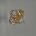 POPCHOSE Dry Brushing Body Brush, Natural Bristle Dry Skin Exfoliating Brush Body Scrub for Flawless Skin, Cellulite Reduction, Lymphatic Drainage and Blood Circulation Improvement (1 Count (Boar Bristles))