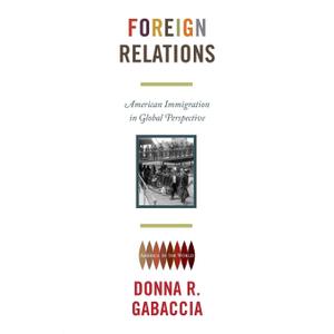 Foreign Relations: American Immigration in Global Perspective (America in the World) Paperback – January 4, 2015