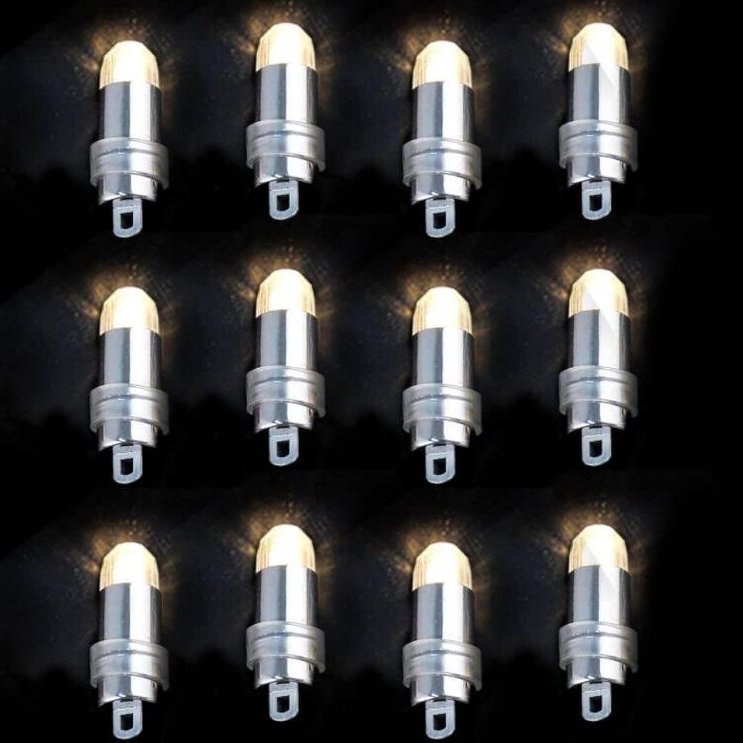 Non-Blinking LED Mini Lights Battery Operated Small LED Lights for Balloon Paper Lantern Party Decoration (Warm White, Pack of 12)