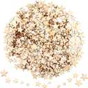 BBTO 400 Pieces Mini Wooden Stars for Crafts Mixed Size Bulk Small Wood Stars Cutout Ornaments Slices Embellishments Tags for DIY Crafts Wedding Party Christmas Decoration