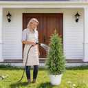 3FT Lighted Artificial Topiary Trees Outdoor Set of 2, Realistic Lighted Norfolk Pine Faux Trees with Planters, Battery Operated Warm White Lights for Front Porch Entryway Patio Decor