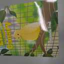 Lizzy, The Singing Canary