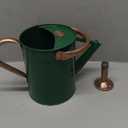 1 Gallon Galvanized Steel Watering Can with Removable Spout for Outdoor and Indoor Gardening, Metal Watering Can,Watering Pot (Green), Gift & Decoration