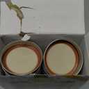 Dalzom 48Pcs Canning Lids with Rings Regular Mouth, Premium Mason Jar Lids with Bands/Rings for Ball, Kerr Jars - Food Grade Material, 100% Fit & Airtight for Regular Mouth Mason Jars