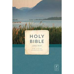 NLT Economy Outreach Bible, Large Print (Economy Outreach: Large Print, NLT), Book 