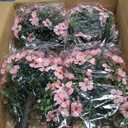 Daifunli 28 Inch Set of 2 Artificial Flowers Topiary Tree Double Ball Boxwood with Spikes for Outdoor UV Resistant Faux Shrubs, Realistic Fake Bushes for Garden Front Porch Patio Decor (Pink)
