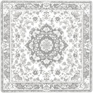 PUPIBOO Washable Pee Pads for Dogs and Cats - Super Absorbent Reusable Puppy Training Pads - 100% Waterproof, Leak-Proof & Non-Slip Whelping Pads for Pet Housebreaking (36 x 36 Inch (Pack of 2), Light Grey Medallion)