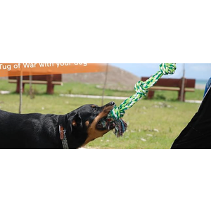 TLAZZ Dog Rope Toys for Medium Large Breed, Nearly Indestructible Dog Chew Toys for Aggressive Chewers, Teeth Cleaning Chew Toys, Dog Tug Toy for Boredom, Dog Rope Toy for Aggressive Chewers