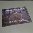 Whitetail Deer Calendar 2026 White Tail Hunting Gifts for Hunters Men Monthly Wall Calender 12 Month | American Made In The USA