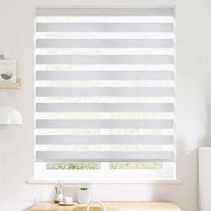SHECUTE Cordless Zebra Blinds for Windows, Custom Size Light Filtering Zebra Shades, Room Darkening Window Shades for Living Room Bedroom, Day and Night Zebra Blinds for Doors, 72H x 24W, White