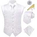 Dubulle Vest and Tie Set Mens White Paisley Floral Waistcoat Neckties for Men Lapel Pin Clip Set Wedding Business, White, Small