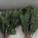 Set of 3 2ft 3ft 4ft Pre-lit Twinkle Christmas Norfolk Pine Tree with 175 LED Light Realistic Artificial Trees with Woven Basket Base Xmas Holiday Decor for Indoor Living Room Home (Norfolk Pine Tree)