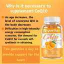 COQ10 Gummies - CoQ10 500mg + Omega-3 EPA/DHA + Magnesium Glycinate + Zinc Citrate, to Support Heart Health, Energy Production, Immune System & Mineral Absorption, 30 Servings (60 Count (Pack of 1))